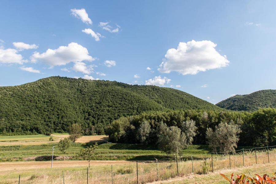 Il Colombaio Agriturismo Villa Carnaiola Exterior photo